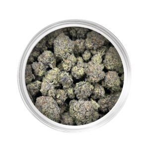 King Gelato