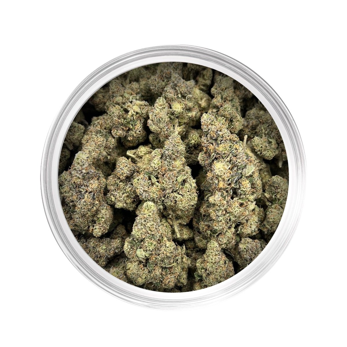 Orange Runtz Hybrid Premium Cannabis Flower