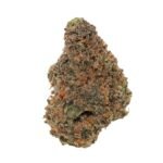 Rainbow Sherbet