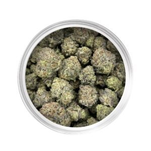 White Truffle