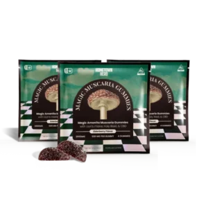 elderberry-magic-amanita-muscaria-gummies-3-pack-25mg-cbd-500mg-amanita-muscaria-per-piece
