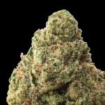 Acapulco Gold THCA Flower 