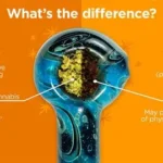 OIP (1)